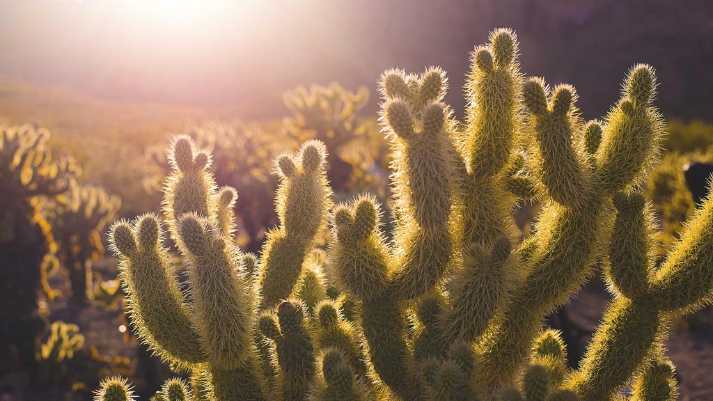 掌握光圈优先模式：从入门到精通