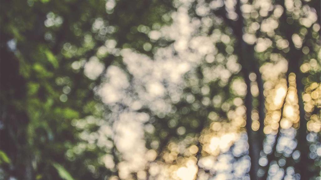 旅行摄影必备技巧：用镜头记录世界之美